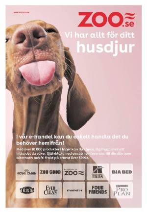 expressen_bilag-20240229_000_00_00_017.pdf