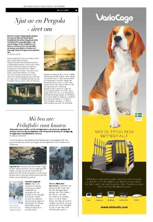 expressen_bilag-20240229_000_00_00_019.pdf