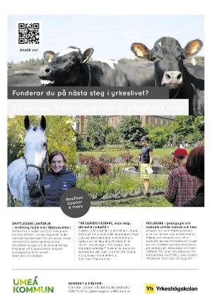 expressen_bilag-20240229_000_00_00_032.pdf