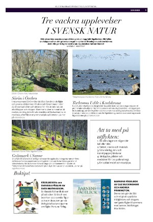 expressen_bilag-20240313_000_00_00_005.pdf