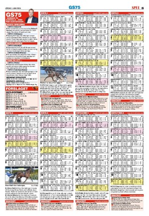 expressen_bilag-20240601_000_00_00_015.pdf