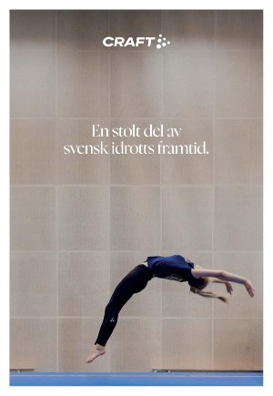 expressen_bilag-20250913_000_00_00_005.pdf