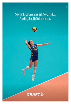 expressen_bilag-20251108_000_00_00_012.pdf