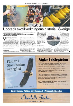 expressen_sport-20210609_000_00_00_007.pdf