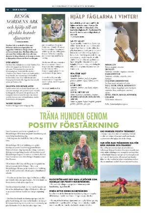 expressen_sport-20211122_000_00_00_016.pdf