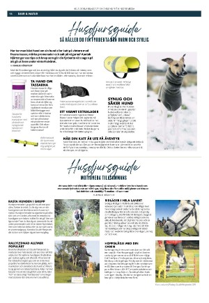 expressen_sport-20220222_000_00_00_016.pdf