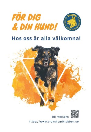 expressen_sport-20220222_000_00_00_031.pdf