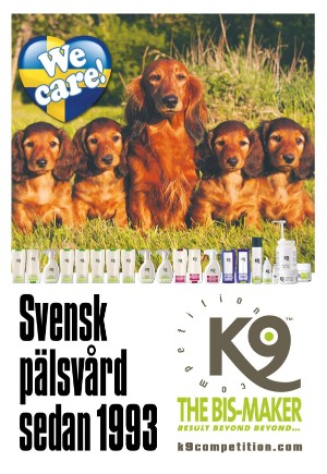 expressen_sport-20220405_000_00_00_004.pdf