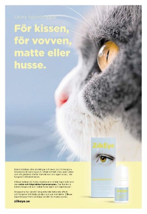 expressen_sport-20220405_000_00_00_012.pdf