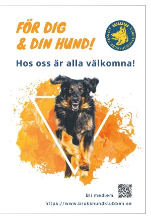 expressen_sport-20220405_000_00_00_031.pdf