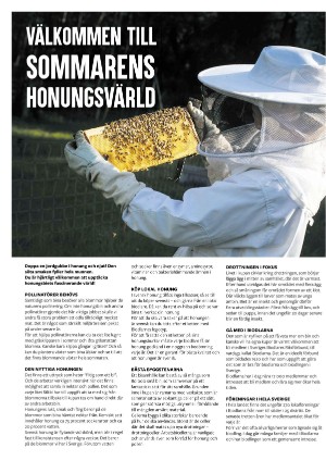 expressen_sport-20220525_000_00_00_002.pdf