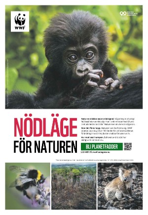 expressen_sport-20221218_000_00_00_014.pdf