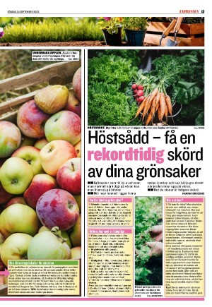 expressen_sport-20230924_000_00_00_013.pdf