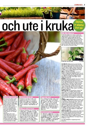 expressen_sport-20240317_000_00_00_007.pdf