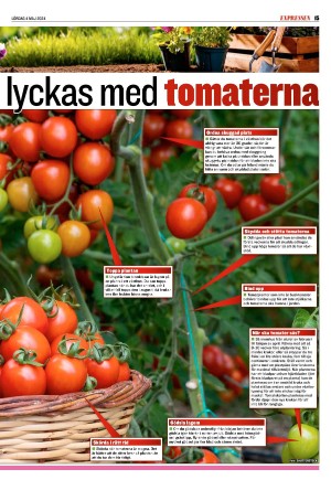 expressen_sport-20240504_000_00_00_015.pdf