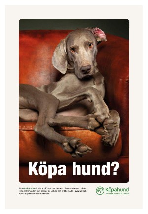 expressen_sport-20240621_000_00_00_030.pdf