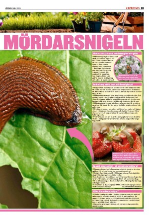 expressen_sport-20240706_000_00_00_033.pdf