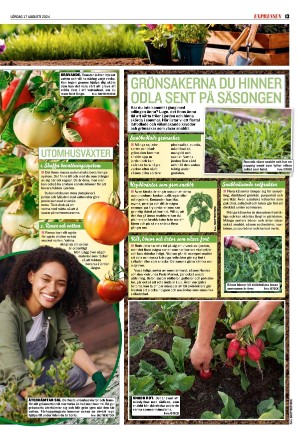 expressen_sport-20240817_000_00_00_013.pdf