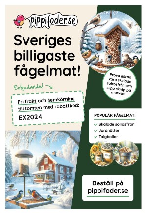 expressen_sport-20241016_000_00_00_022.pdf