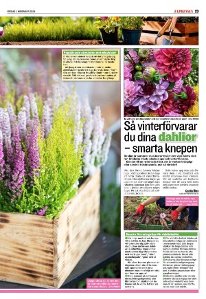 expressen_sport-20241101_000_00_00_023.pdf