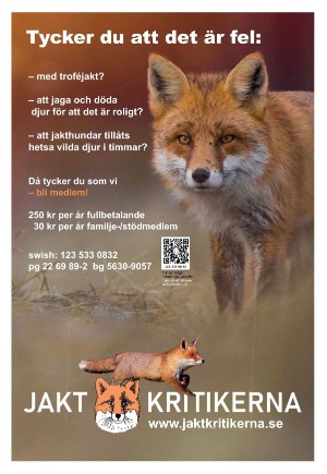 expressen_sport-20241120_000_00_00_028.pdf
