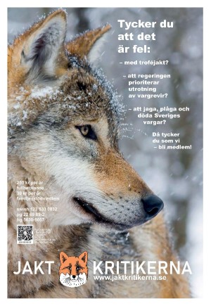 expressen_sport-20241128_000_00_00_028.pdf