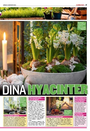 expressen_sport-20241221_000_00_00_017.pdf