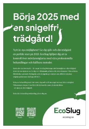 expressen_sport-20241231_000_00_00_012.pdf