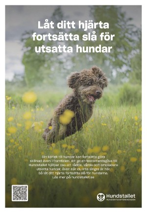 expressen_sport-20250918_000_00_00_007.pdf