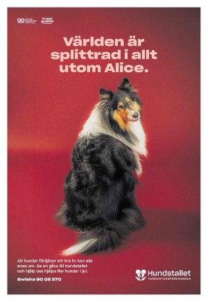 expressen_sport-20251206_000_00_00_007.pdf