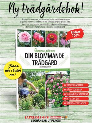 extra-20180517_000_00_00_052.pdf