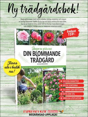 extra-20180531_000_00_00_002.pdf