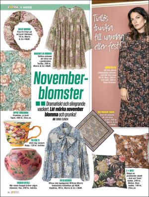 extra-20181108_000_00_00_036.pdf