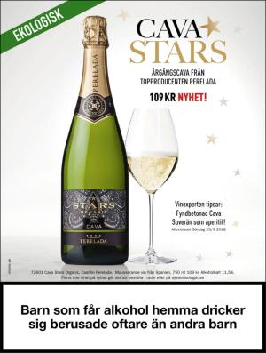 extra-20190103_000_00_00_002.pdf