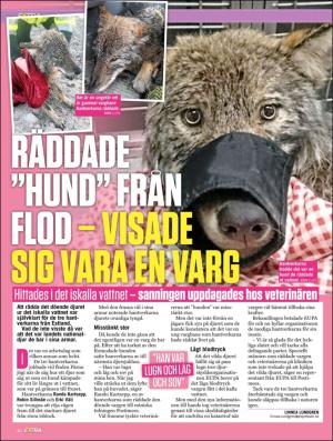 extra-20190307_000_00_00_046.pdf