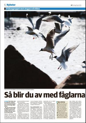 falukuriren-20160729_000_00_00_006.pdf
