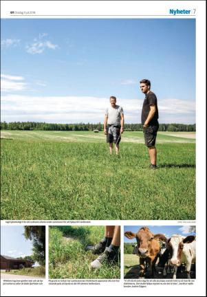 falukuriren-20180711_000_00_00_007.pdf