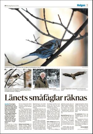 falukuriren-20190128_000_00_00_011.pdf