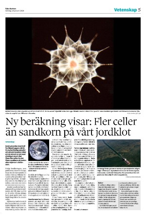 falukuriren-20240114_000_00_00_005.pdf
