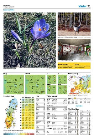 falukuriren-20250411_000_00_00_031.pdf