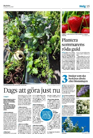 falukuriren-20250516_000_00_00_015.pdf