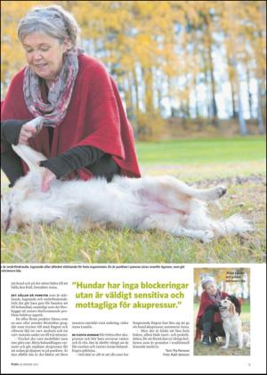 falukuriren_bilag-20111029_000_00_00_005.pdf