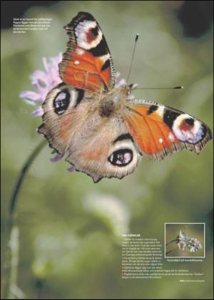 falukuriren_bilag-20120519_000_00_00_016.pdf