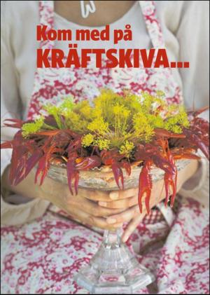 falukuriren_bilag-20120825_000_00_00_017.pdf
