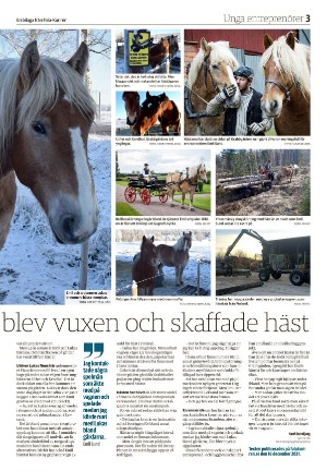 falukuriren_bilag-20230311_000_00_00_003.pdf
