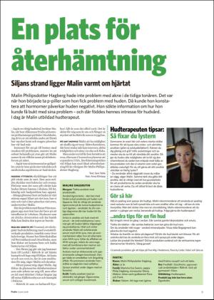 falukuriren_pralin-20160611_000_00_00_009.pdf