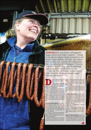 falukuriren_pralin-20170318_000_00_00_015.pdf