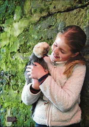 falukuriren_pralin-20170415_000_00_00_015.pdf