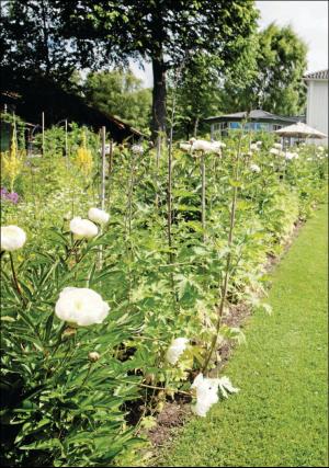 falukuriren_pralin-20170819_000_00_00_010.pdf