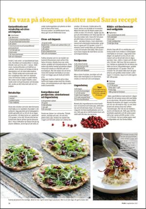 falukuriren_pralin-20170902_000_00_00_018.pdf